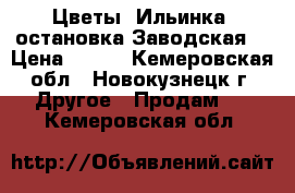 Цветы! Ильинка! остановка Заводская! › Цена ­ 100 - Кемеровская обл., Новокузнецк г. Другое » Продам   . Кемеровская обл.